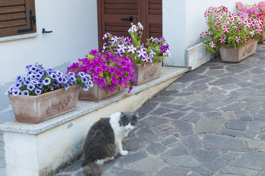 B&B Le Fresie Nuoro  Dış mekan fotoğraf